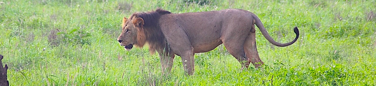 Bildvorschau